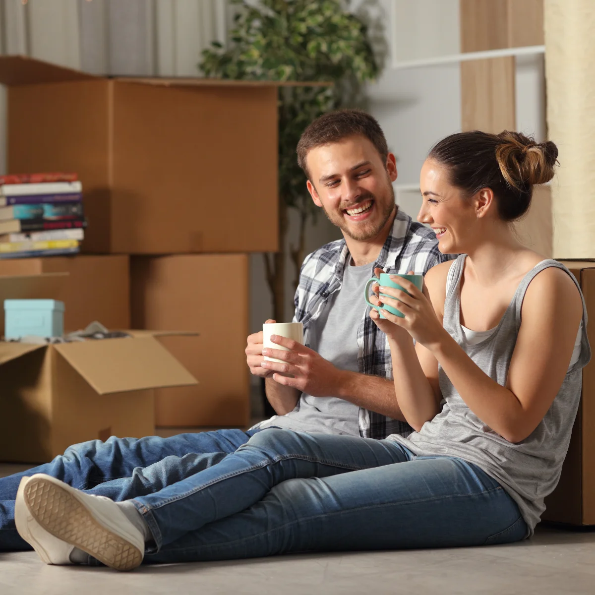 Déménagement et taille de box
